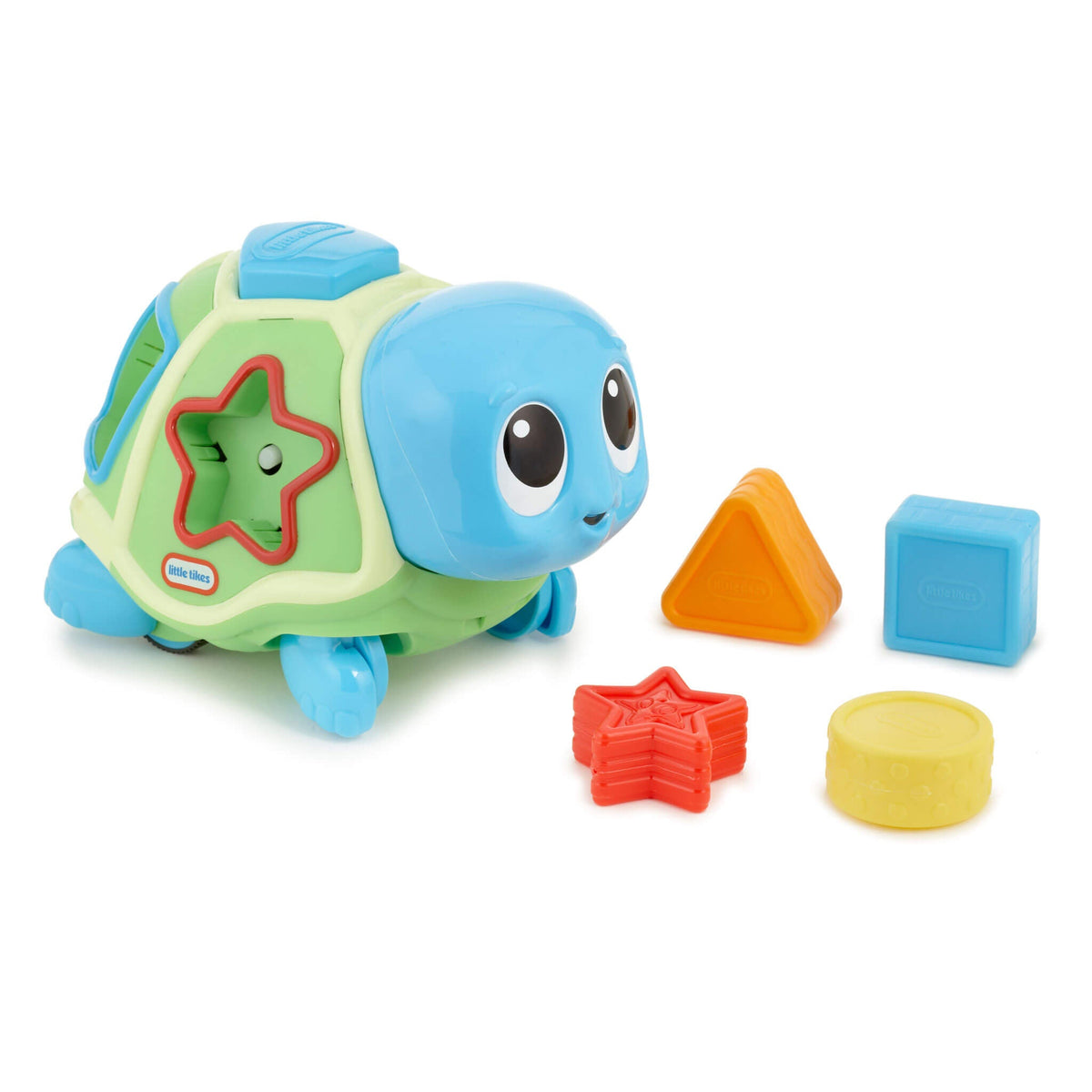 Playful Crawl n Pop Turtle
