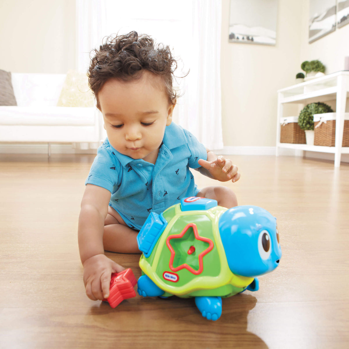 Playful Crawl n Pop Turtle