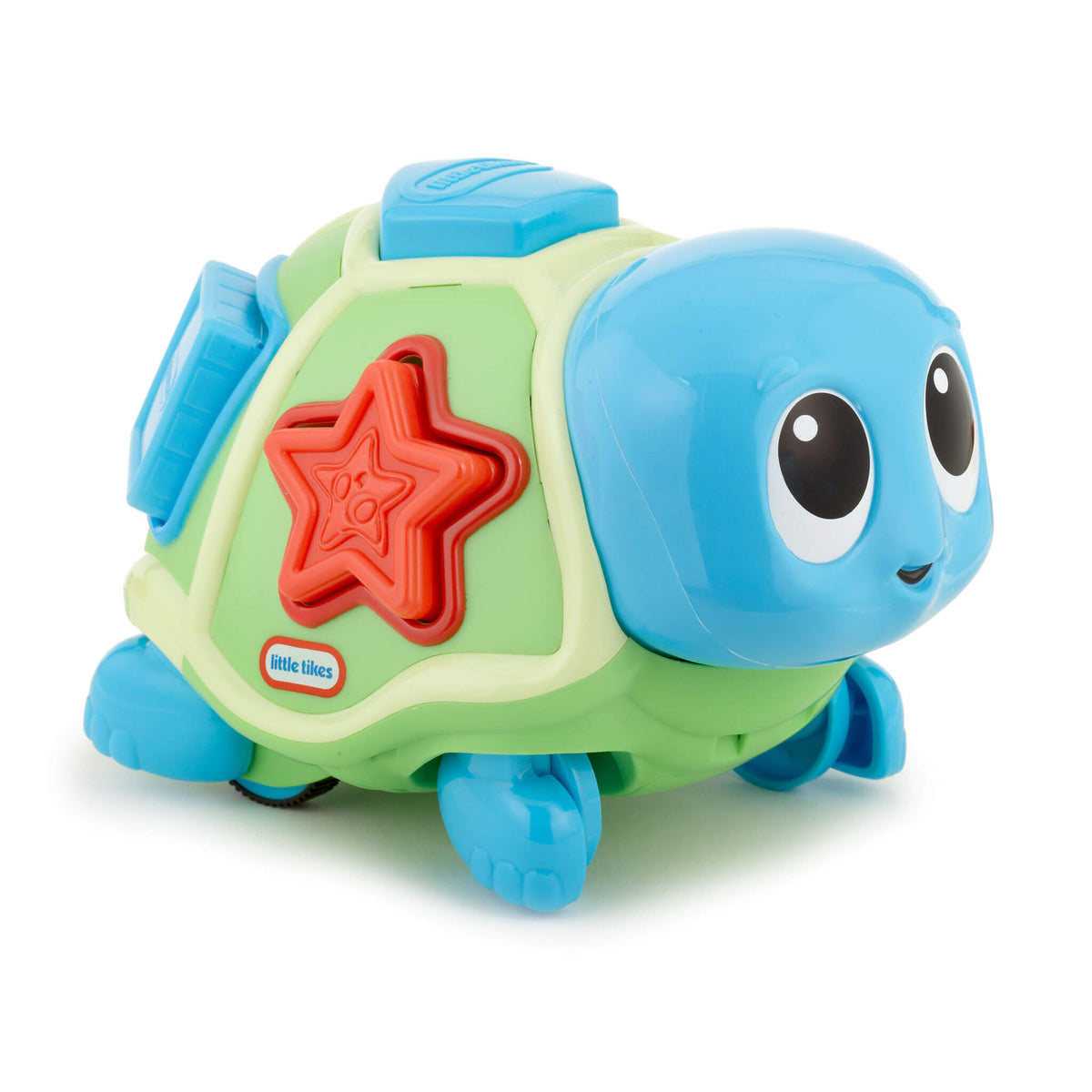 Playful Crawl n Pop Turtle