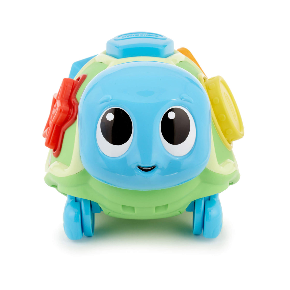 Playful Crawl n Pop Turtle