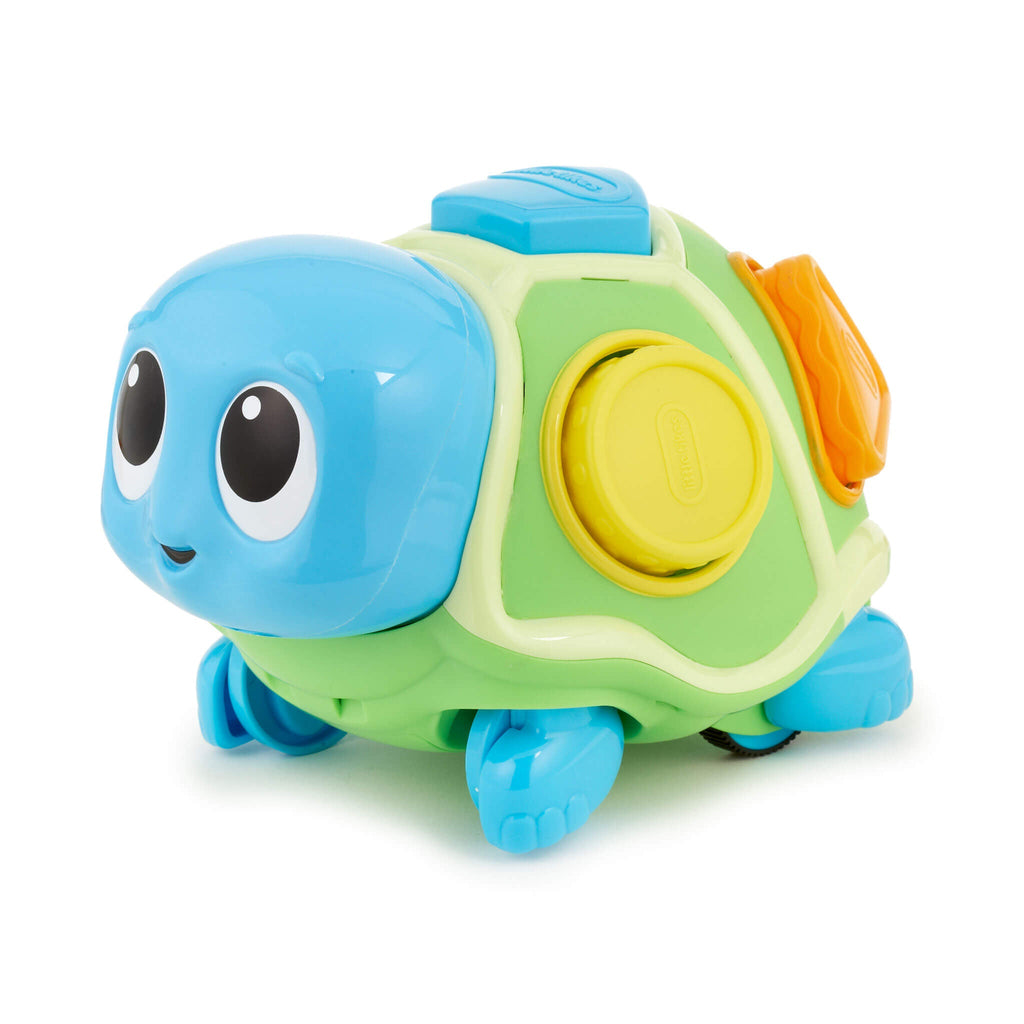 Playful Crawl n Pop Turtle