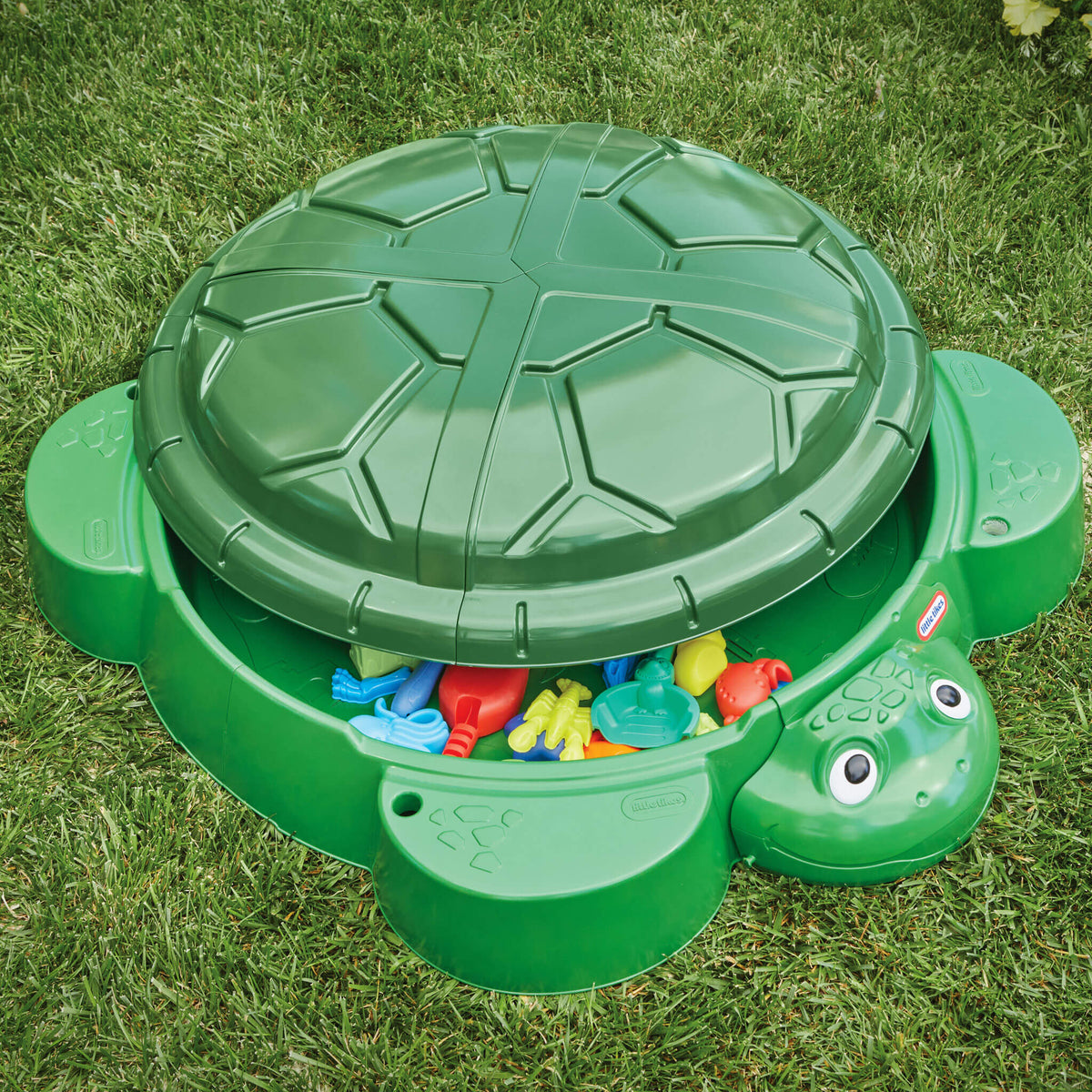 Playful Turtle Sandbox